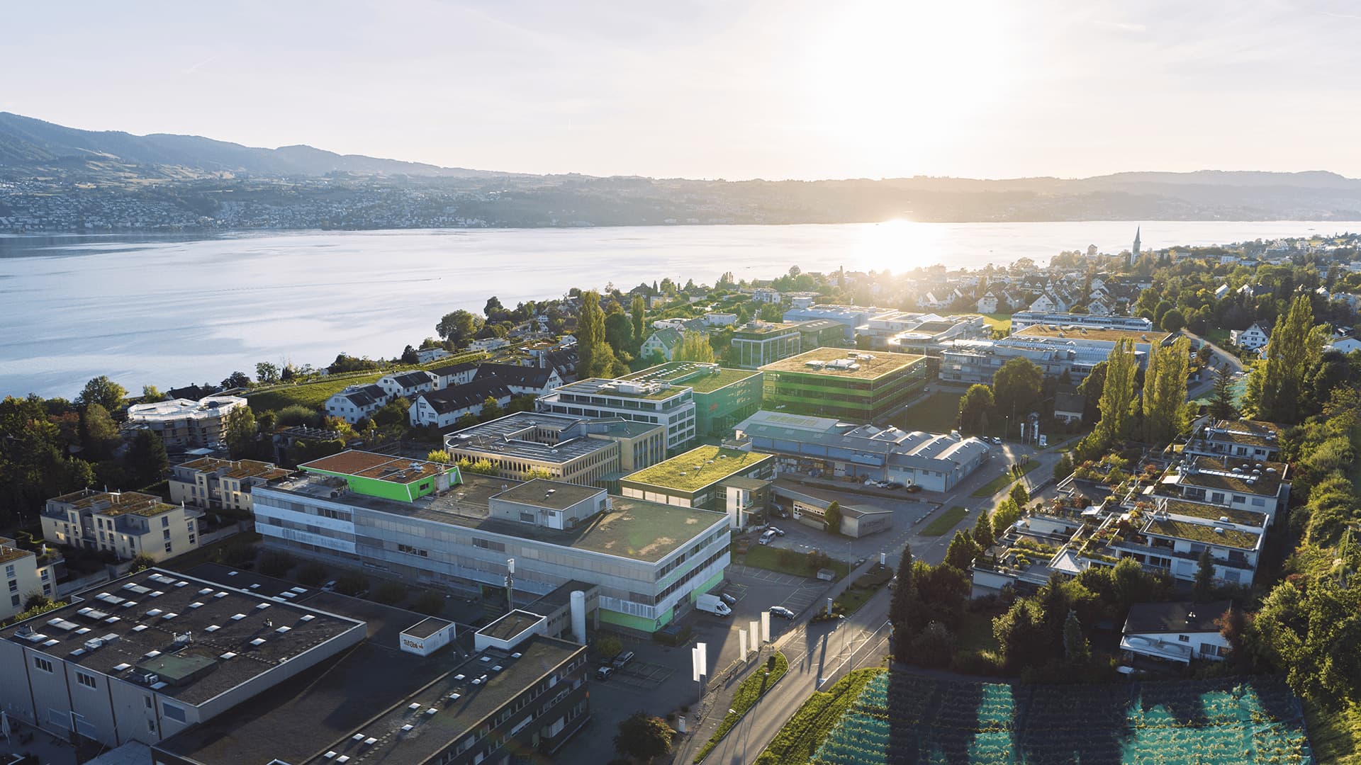 ISO9001 certified to 2029